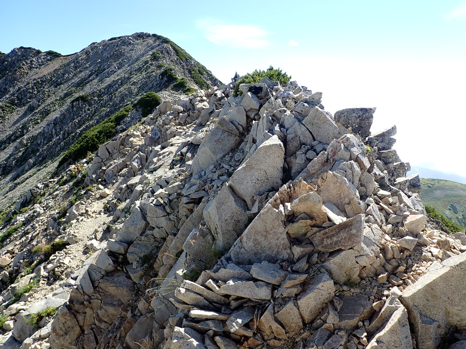 P8273185_mid.jpg