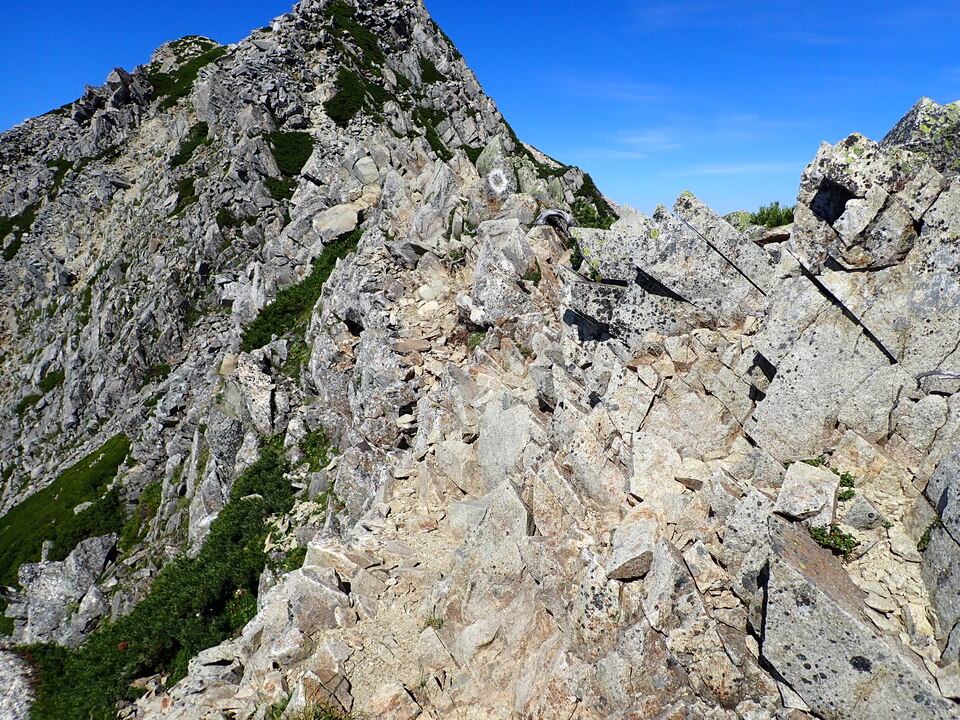 P8273187_mid.jpg