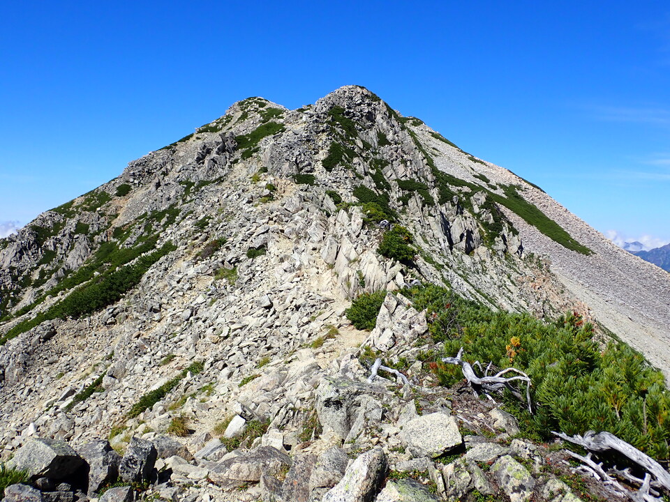 P8273190_mid.jpg