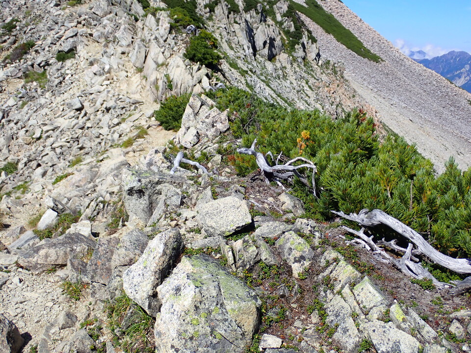 P8273191_mid.jpg