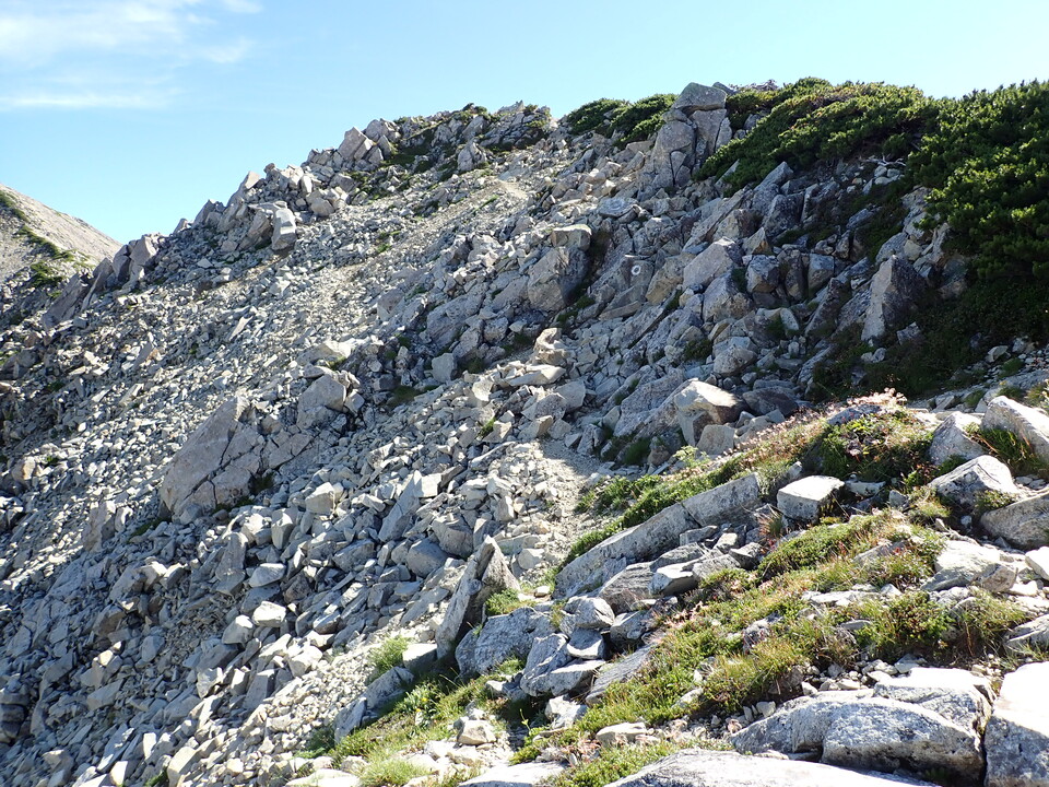 P8273192_mid.jpg
