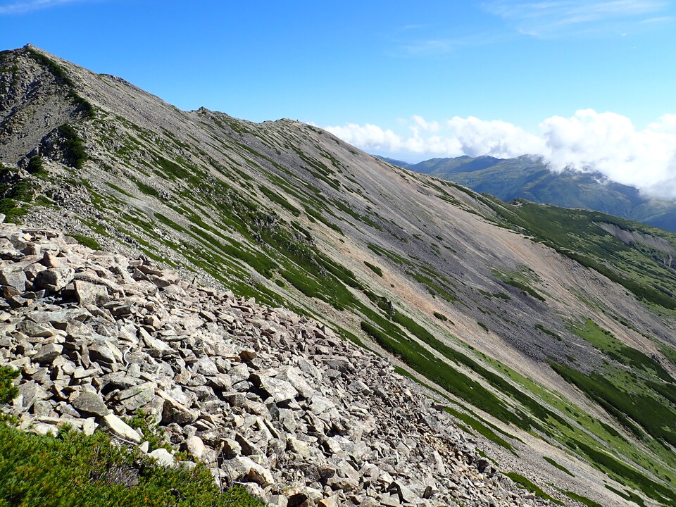 P8273197_mid.jpg