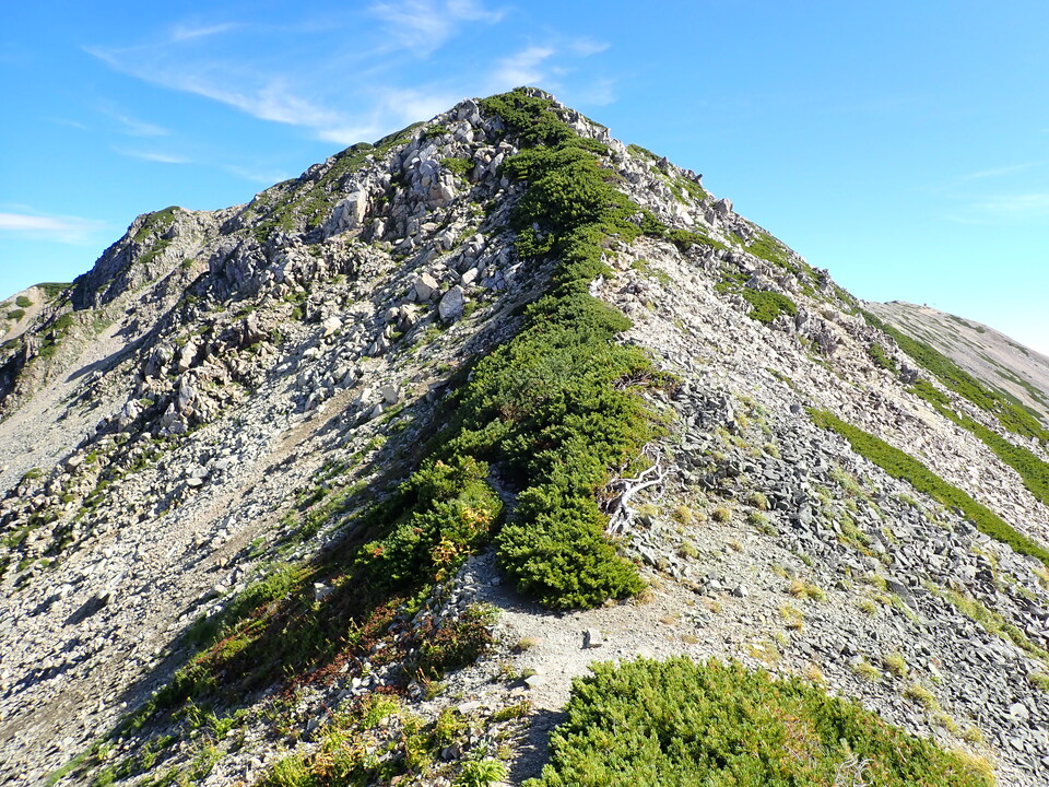 P8273199_mid.jpg
