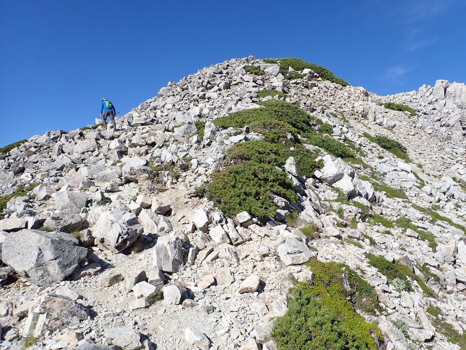 P8273210_mid.jpg