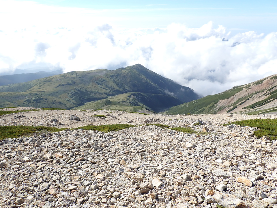 P8273215_mid.jpg