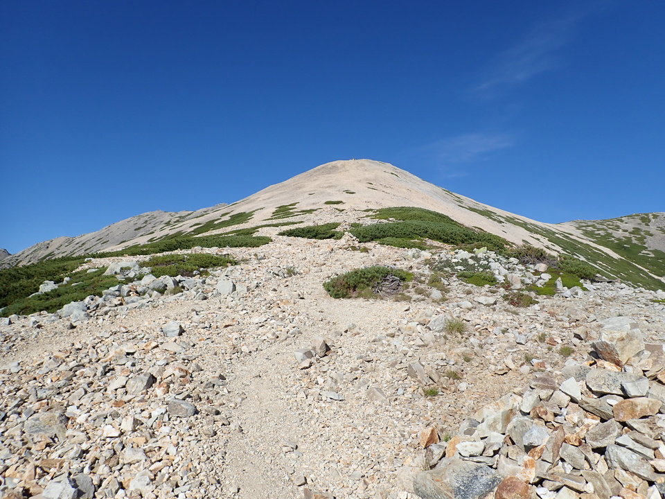 P8273227_mid.jpg