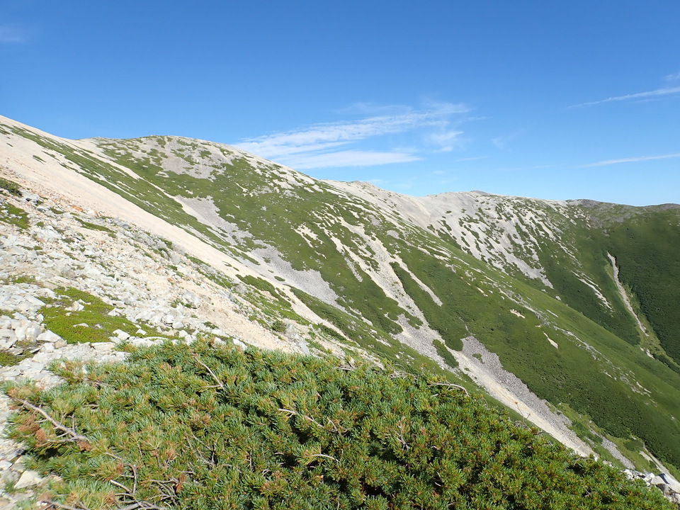 P8273228_mid.jpg