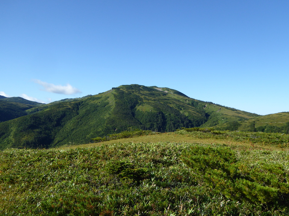 P1030090_mid.jpg