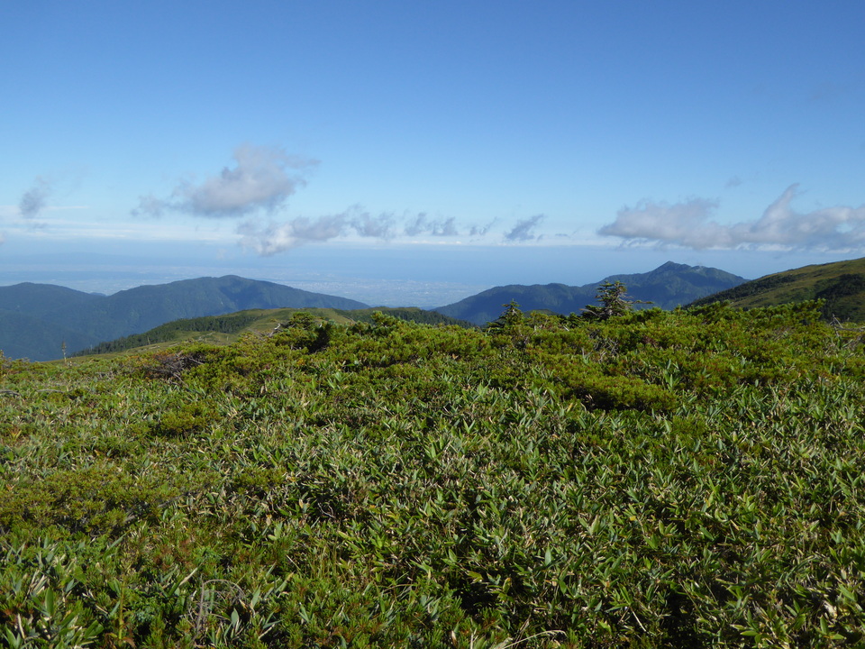 P1030095_mid.jpg