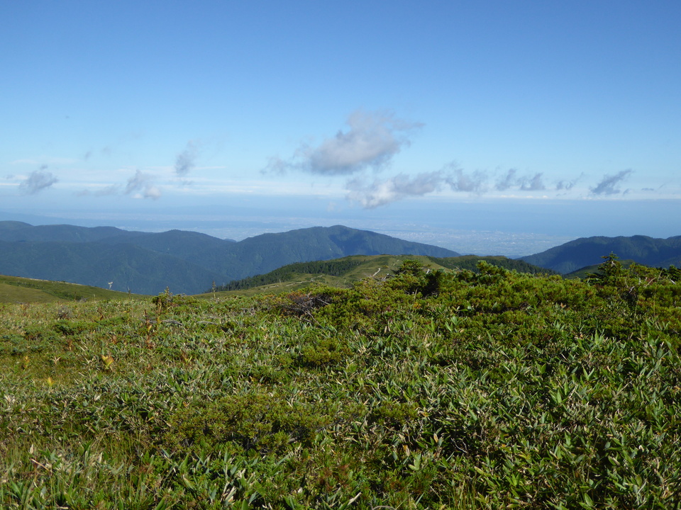 P1030096_mid.jpg