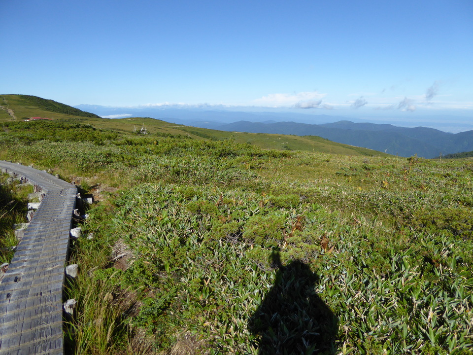 P1030097_mid.jpg