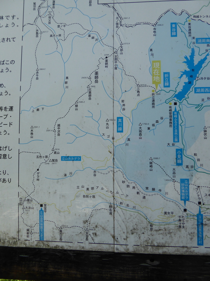 P1030103_mid.jpg