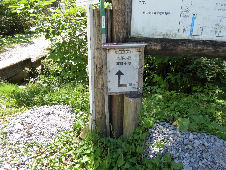 P1030104_mid.jpg