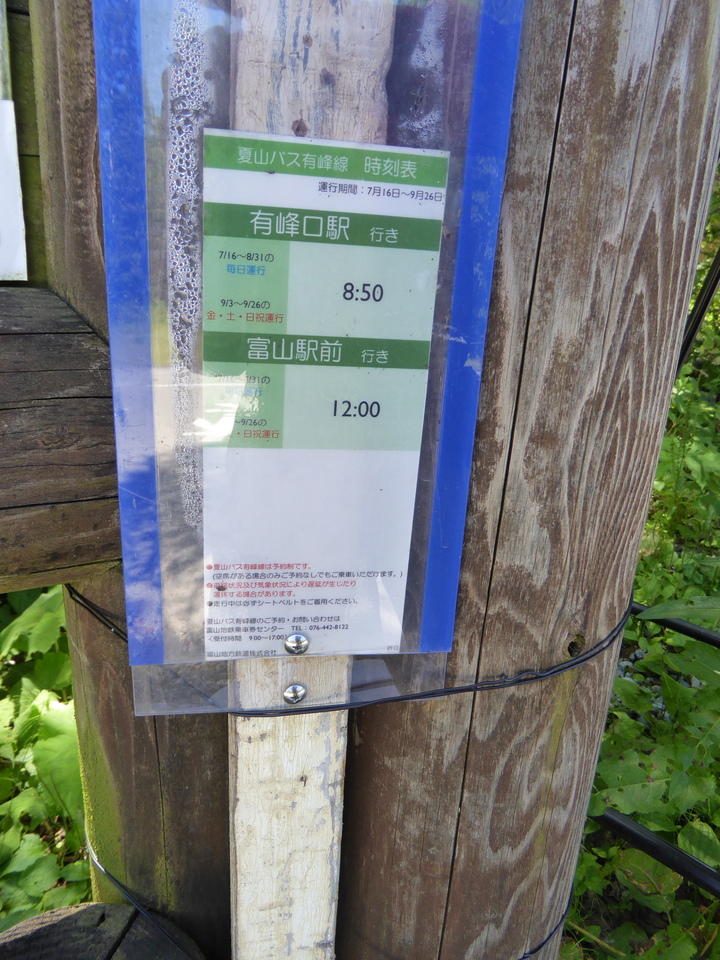 P1030107_mid.jpg