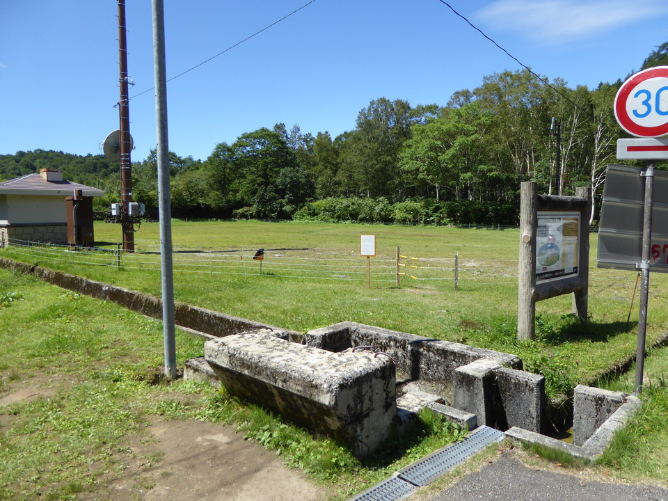 P1030109_mid.jpg