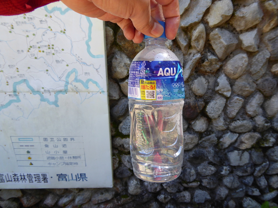 P1030114_mid.jpg