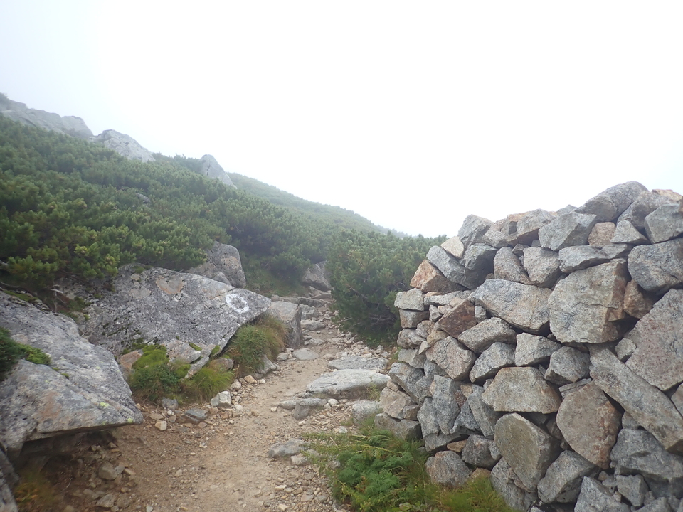 P8283244_mid.jpg