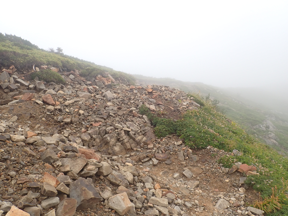 P8283246_mid.jpg