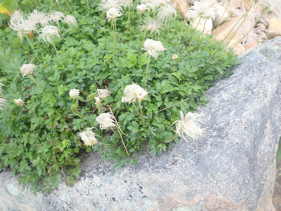P8283251_mid.jpg