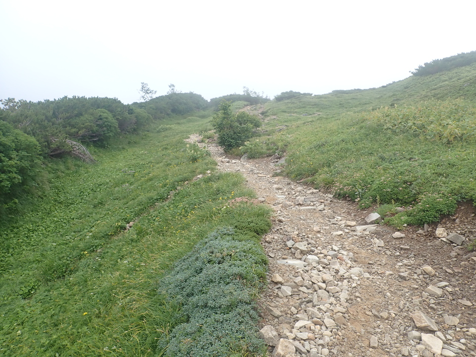 P8283255_mid.jpg