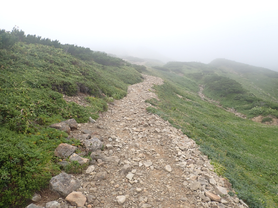 P8283256_mid.jpg
