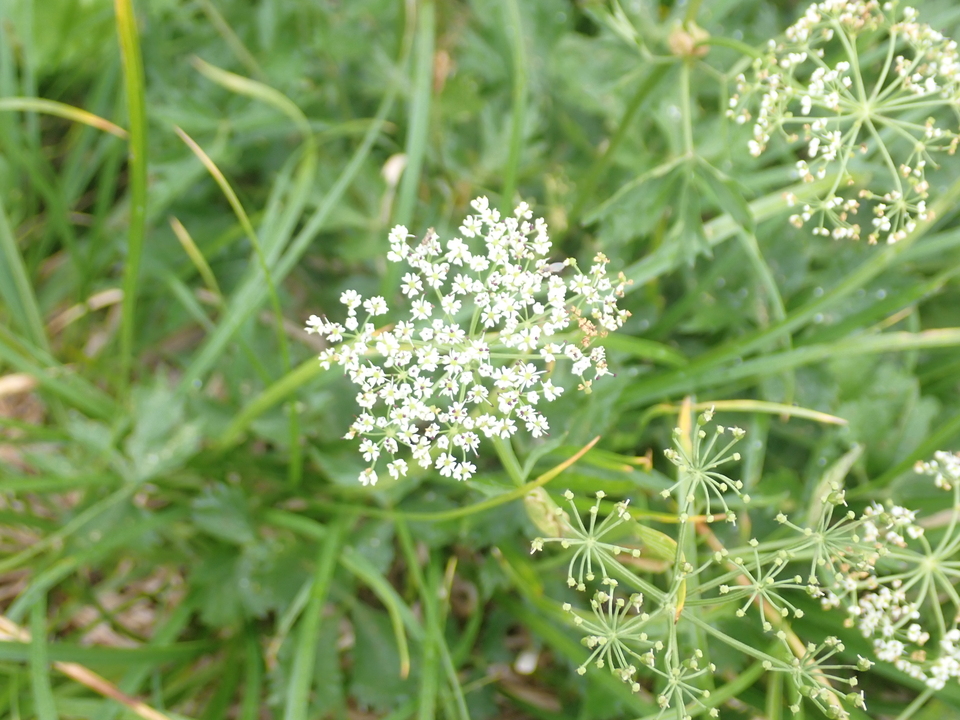 P8283259_mid.jpg