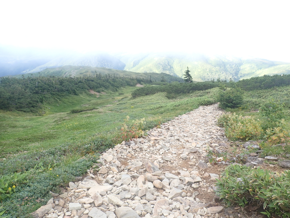 P8283262_mid.jpg