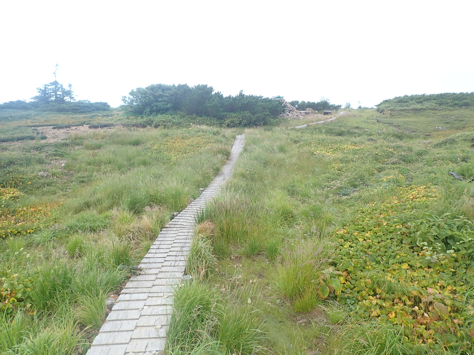 P8283266_mid.jpg