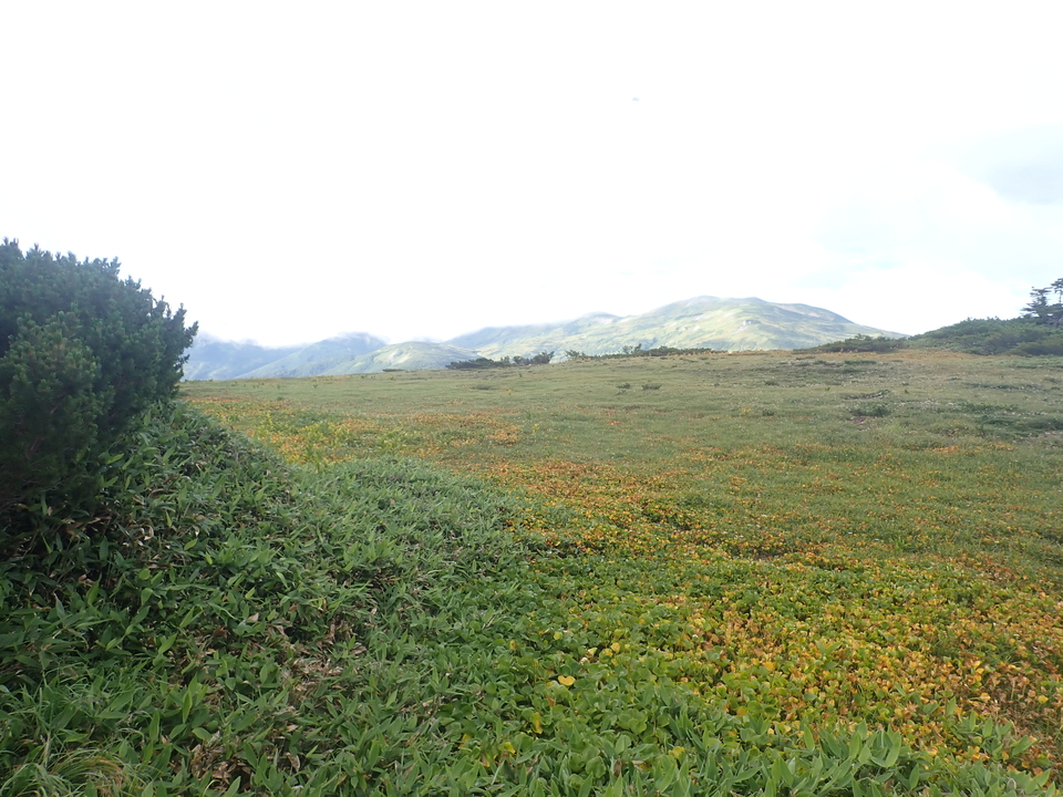 P8283267_mid.jpg