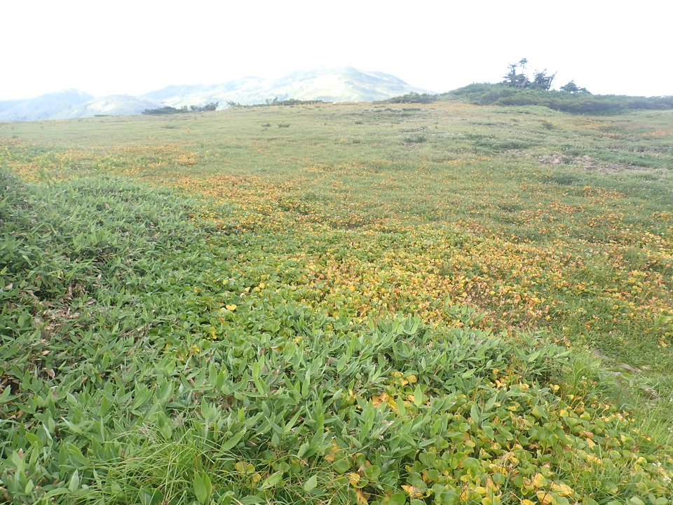 P8283268_mid.jpg