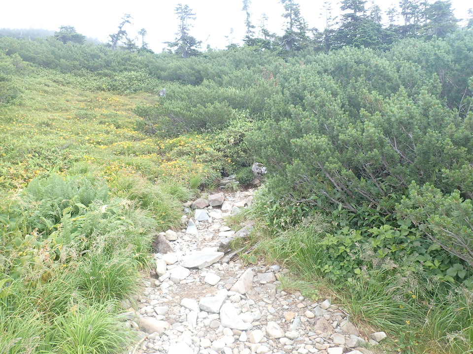 P8283269_mid.jpg