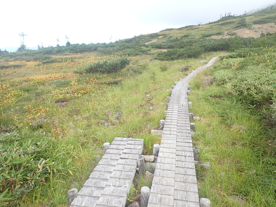 P8283270_mid.jpg