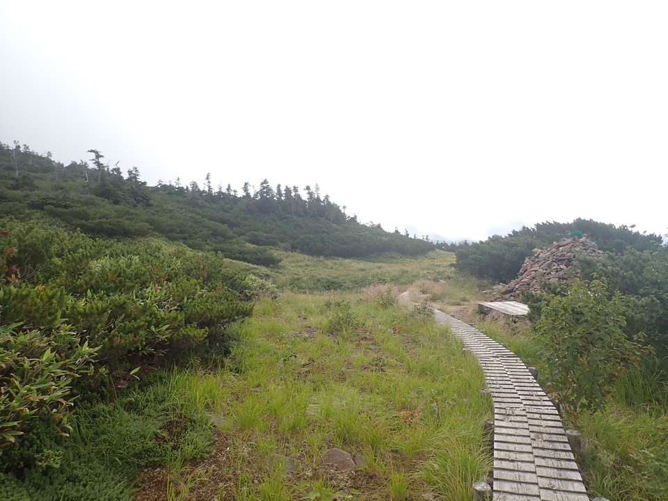 P8283273_mid.jpg