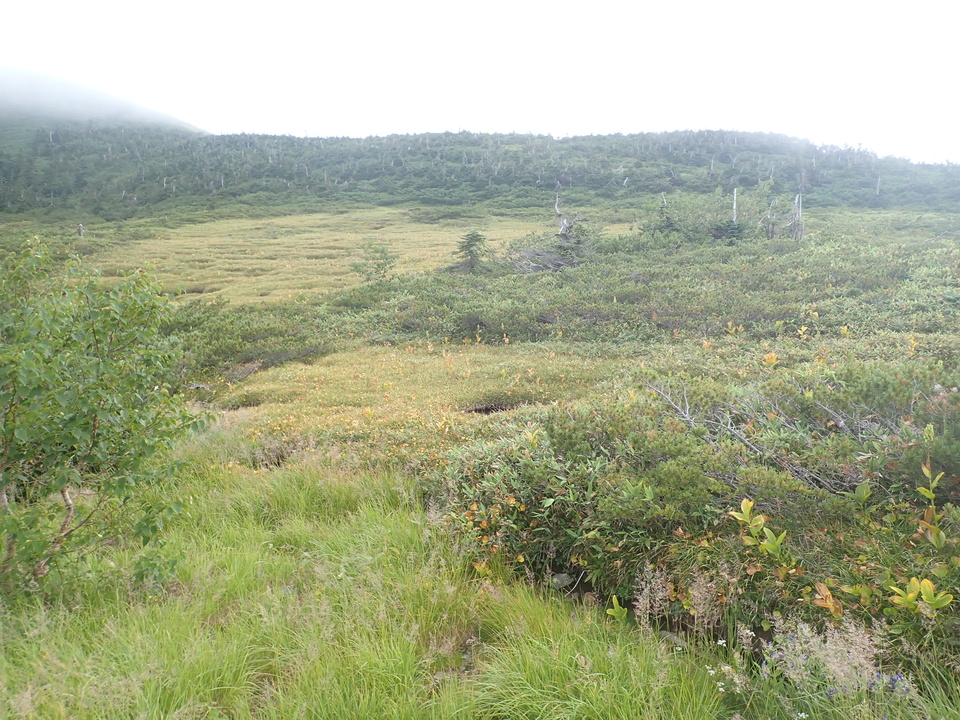 P8283275_mid.jpg