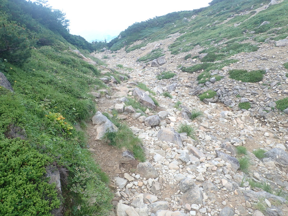 P8283277_mid.jpg