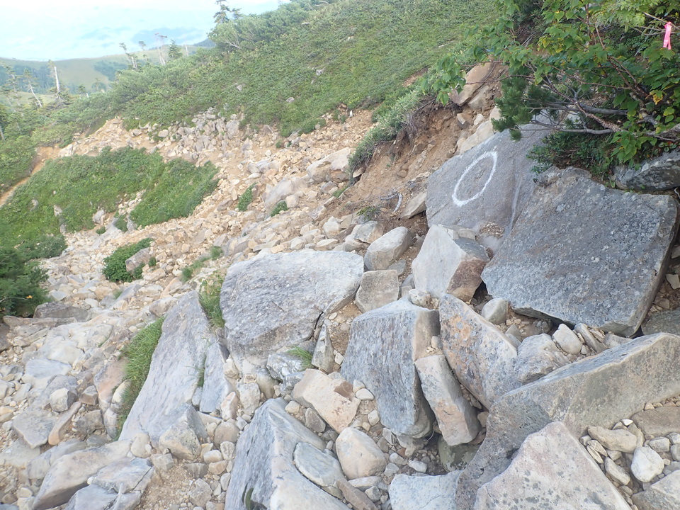 P8283280_mid.jpg