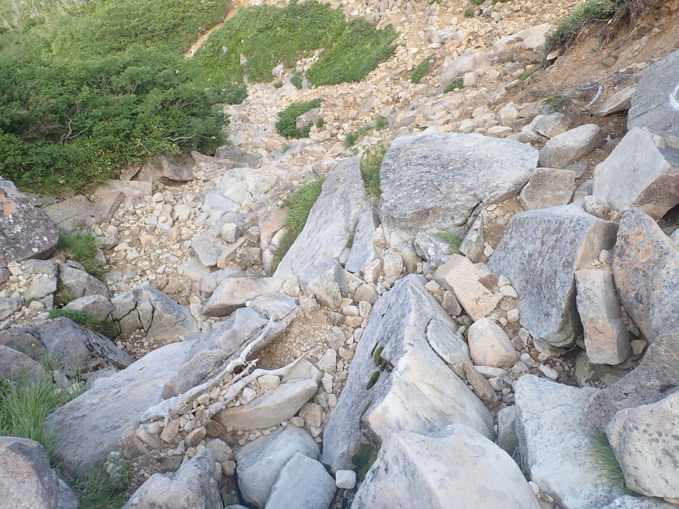 P8283281_mid.jpg