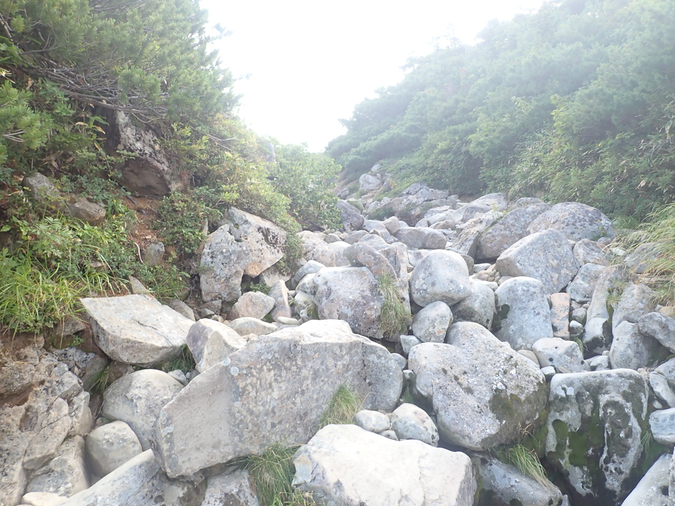 P8283282_mid.jpg