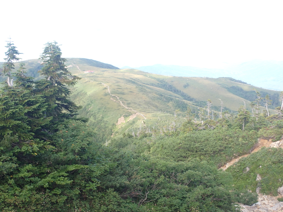 P8283283_mid.jpg