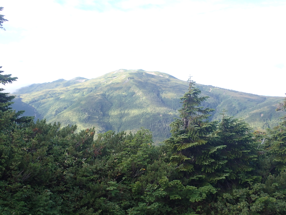 P8283284_mid.jpg