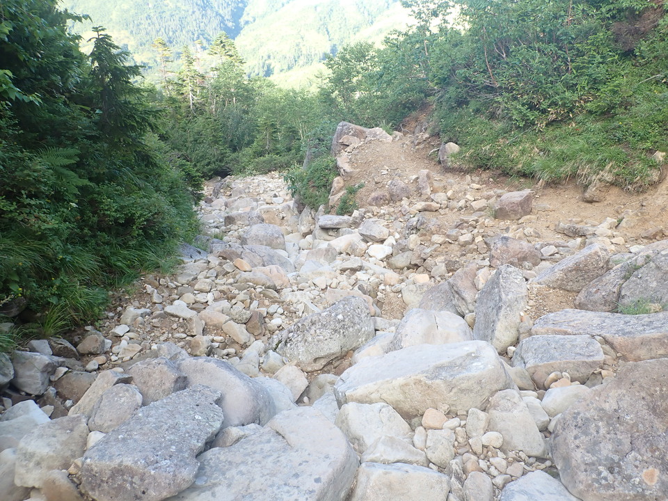 P8283285_mid.jpg