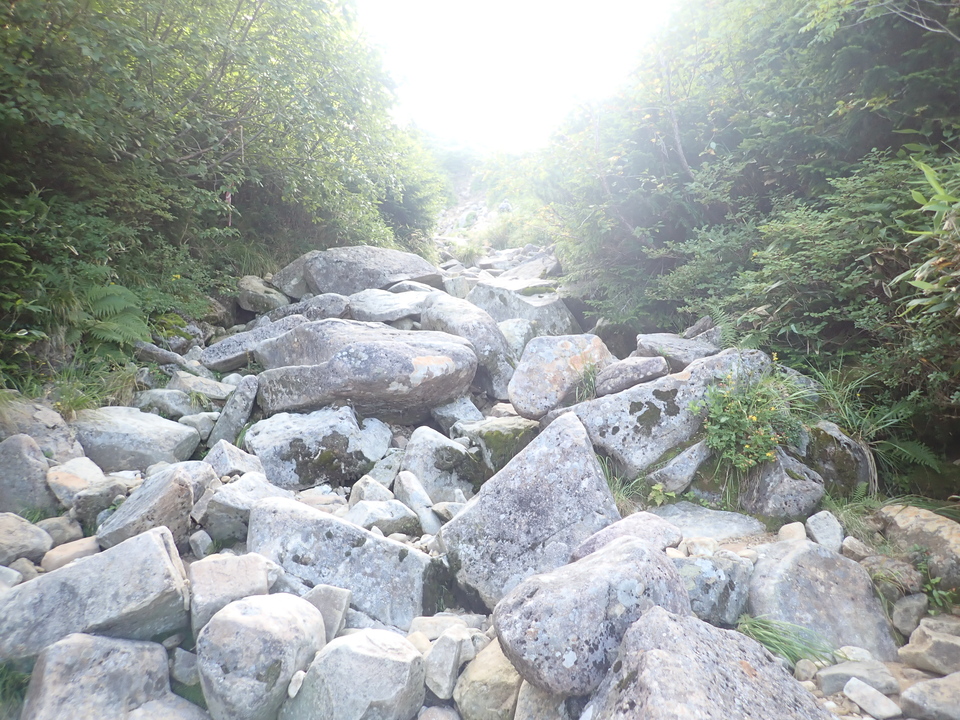 P8283286_mid.jpg
