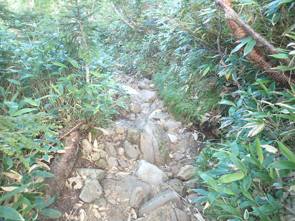 P8283287_mid.jpg