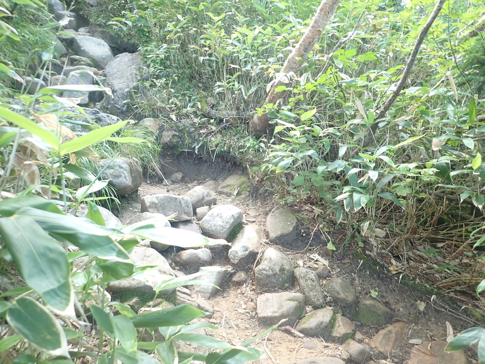 P8283288_mid.jpg