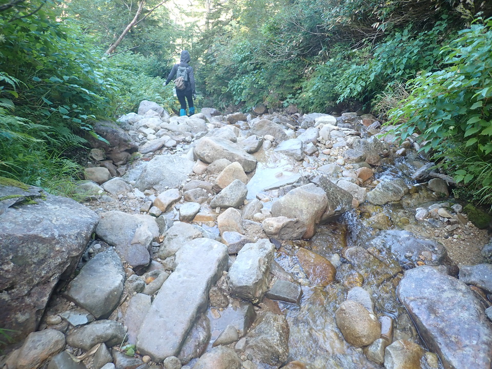 P8283291_mid.jpg