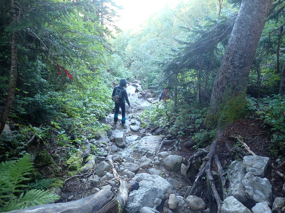 P8283295_mid.jpg
