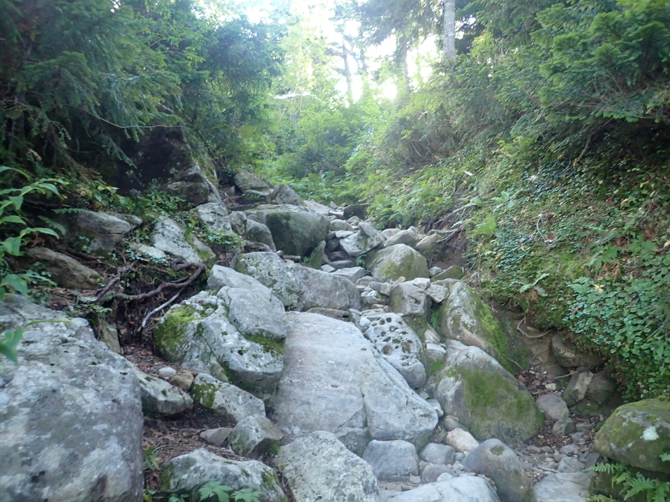 P8283296_mid.jpg