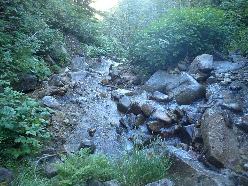 P8283298_mid.jpg