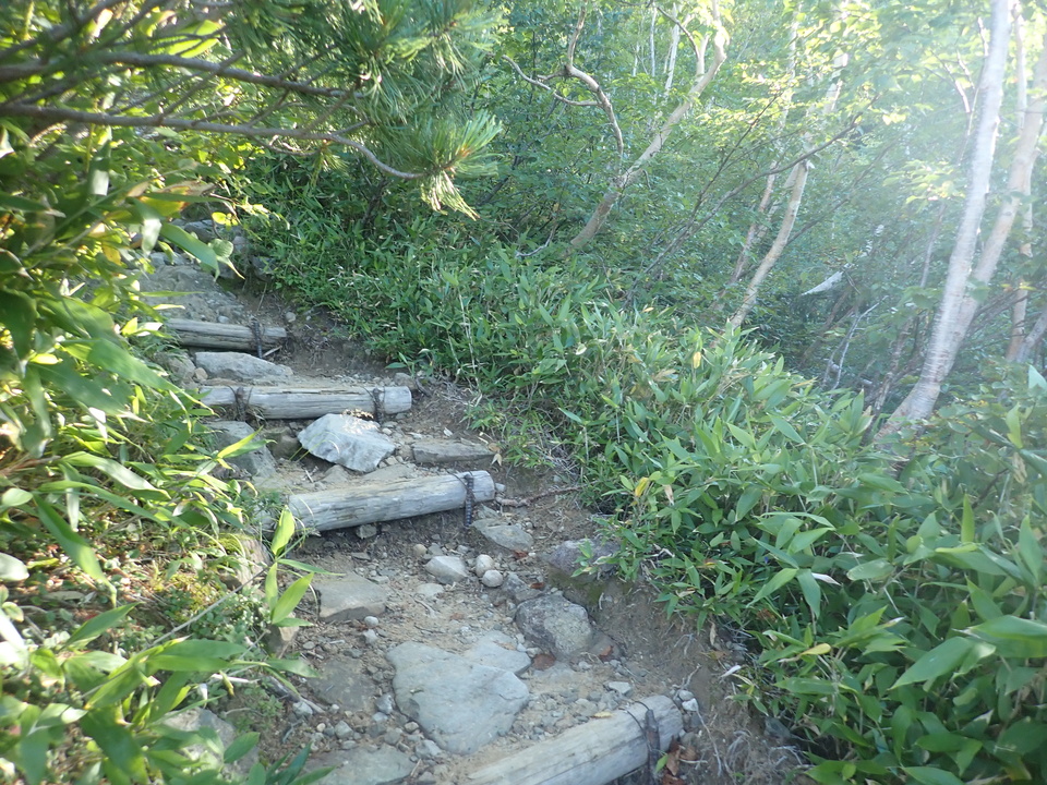 P8283302_mid.jpg