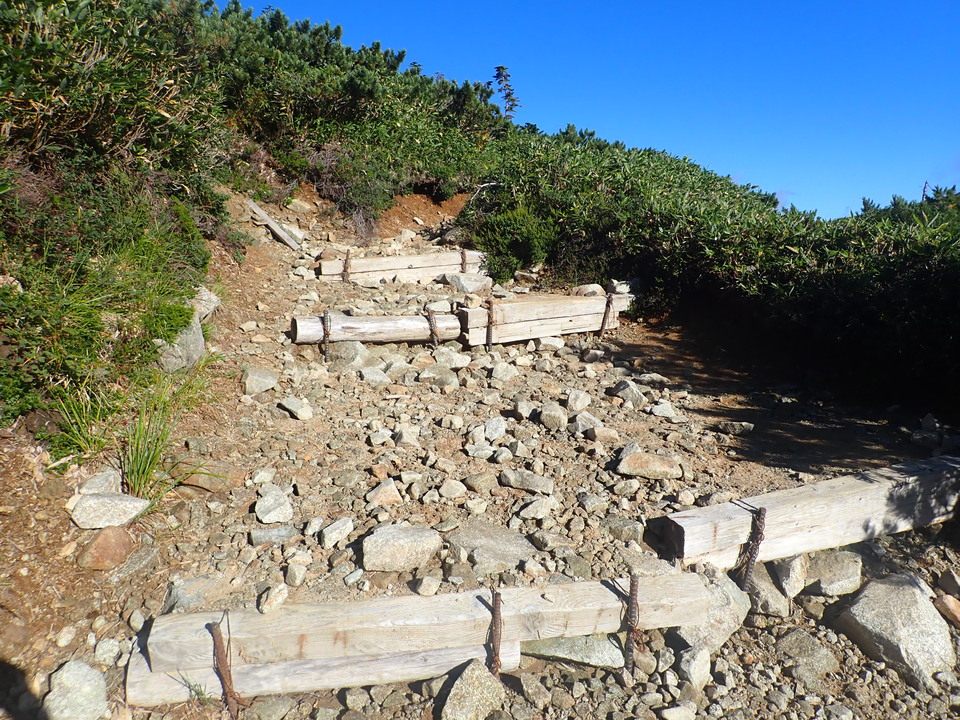 P8283303_mid.jpg